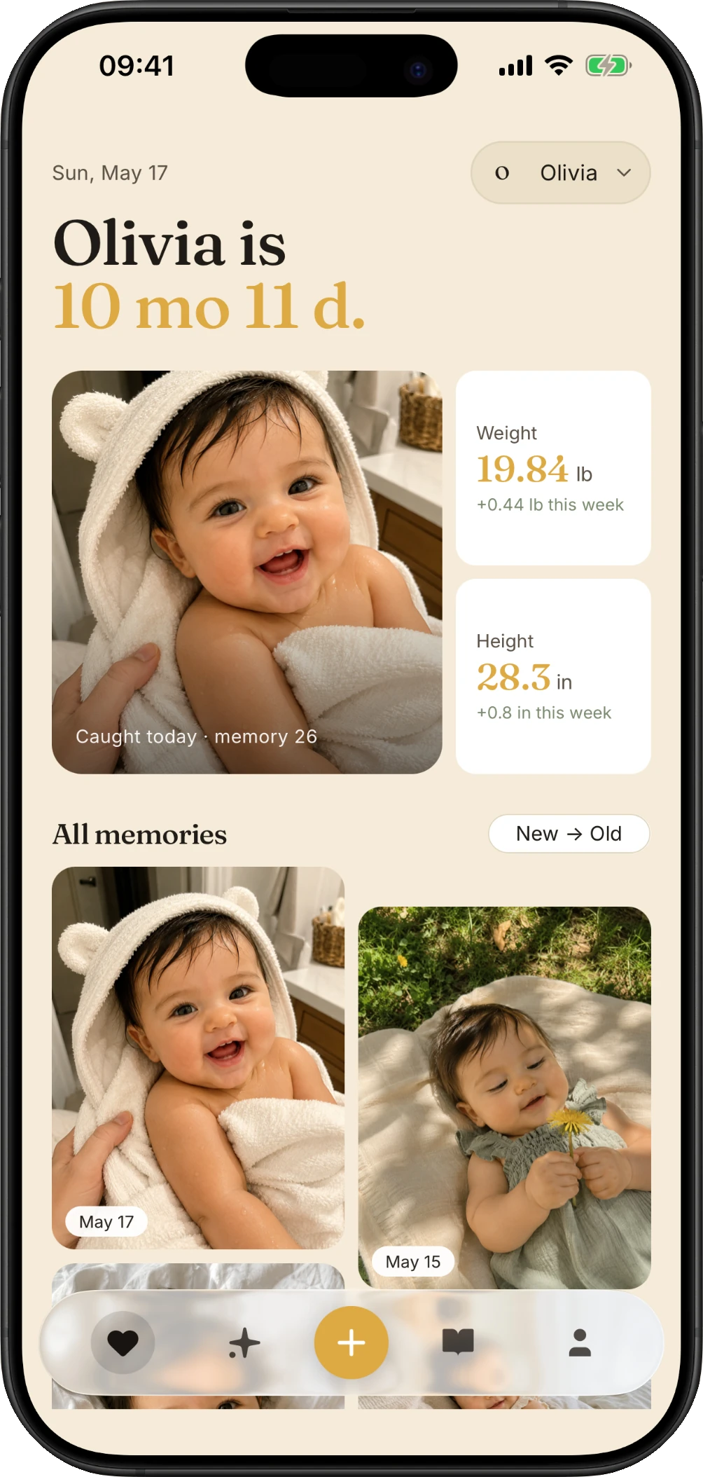 Hushu privacy